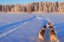 8 raisons de visiter la Finlande