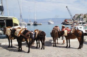 L'île d'Hydra pour un voyage mémorable en Grèce