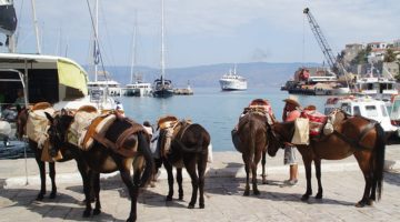 L'île d'Hydra pour un voyage mémorable en Grèce